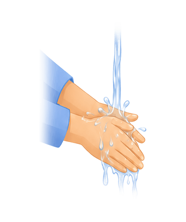 Wash the hands to the wrists, three times, men